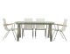 RAFFIA Dining Set